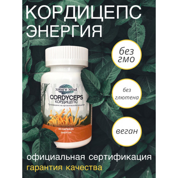 Грибы для бизнеса. СТМ под любой запрос и количество.